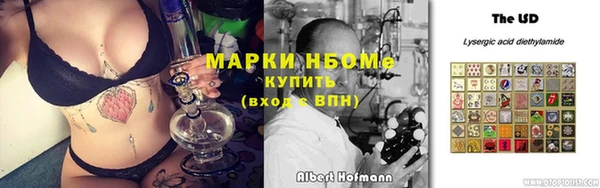крисы Алексин