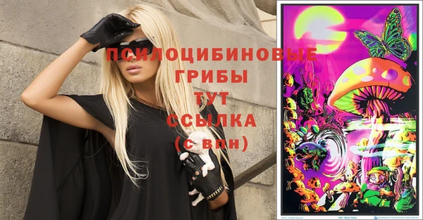 крисы Алексин