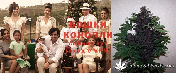 кокаин Алексеевка