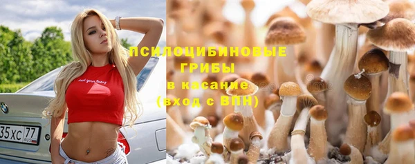 крисы Алексин