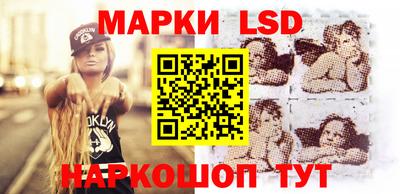 СК Новодвинск