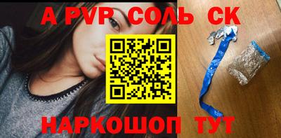 СК Новодвинск