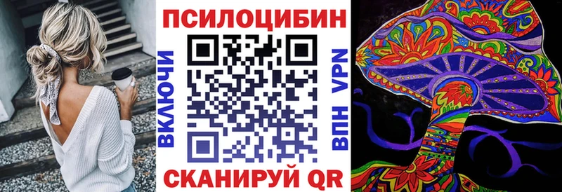 Псилоцибиновые грибы GOLDEN TEACHER  Сатка 
