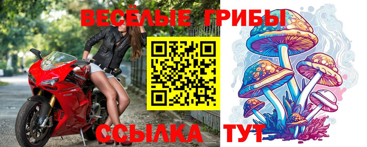 Сатка  Галлюциногенные грибы мицелий  Вход с VPN 