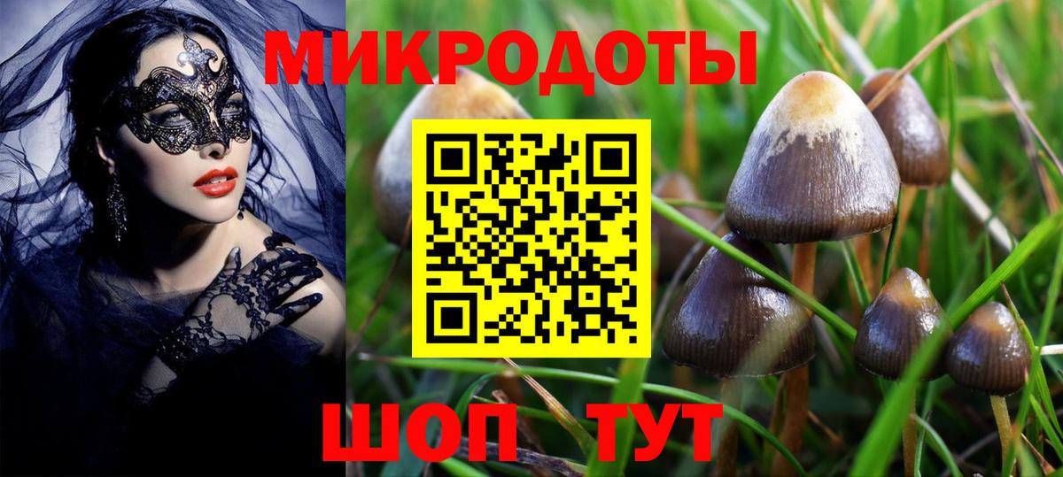 Галлюциногенные грибы прущие грибы Сатка
